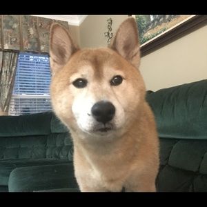 Meet your Posher, Mike